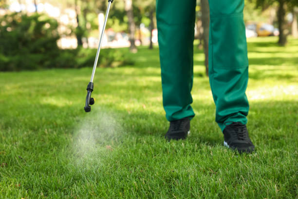 Pest Prevention Services in Glenwood City, WI