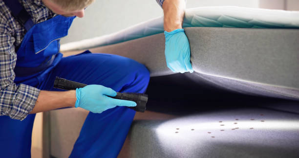 Best Pest Prevention Services  in Glenwood City, WI