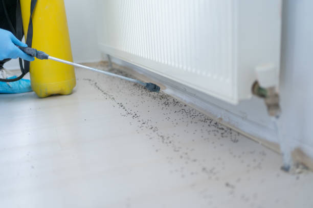 Best Pest Inspection Near Me  in Glenwood City, WI